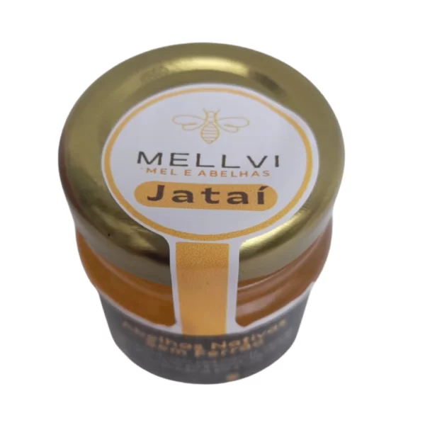 Mel de Abelha Jataí 40g - Image 5